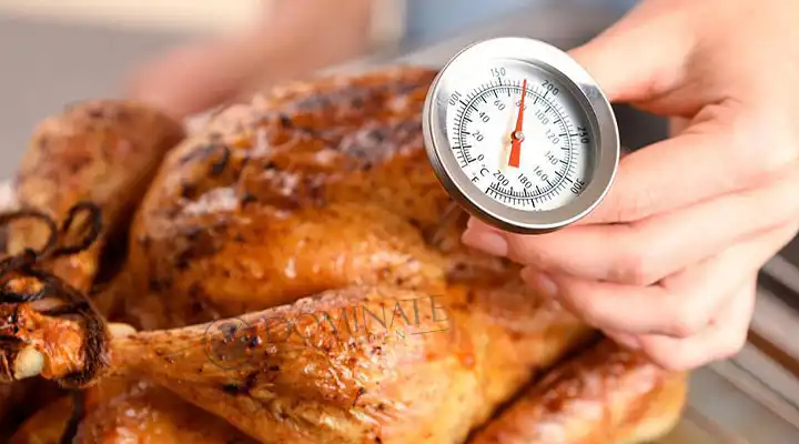 Can You Leave A Meat Thermometer In Oven