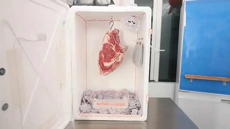 How Long Will a Deer Hide Last in the Freezer