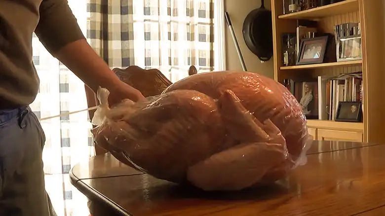 How to Freeze Wild Turkey