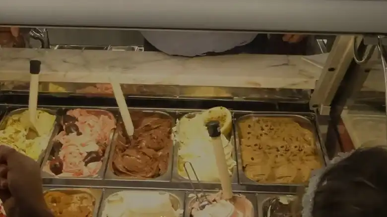 Will Ice Cream Melt in the Fridge