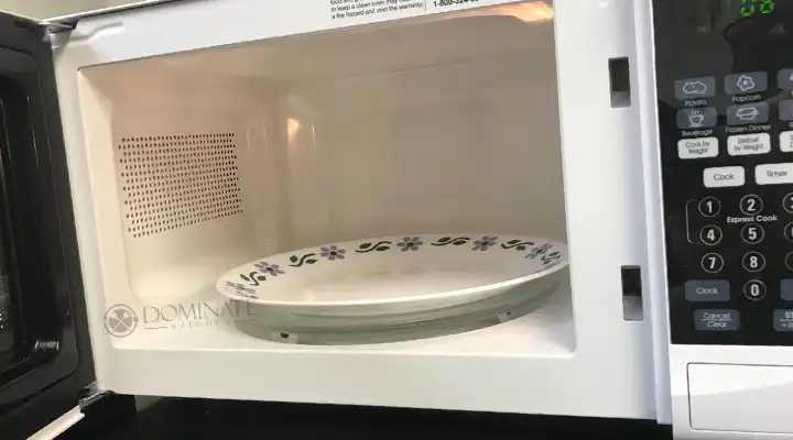 [ANSWERED] Why Does An Empty Plate Not Heat Up In The Microwave?